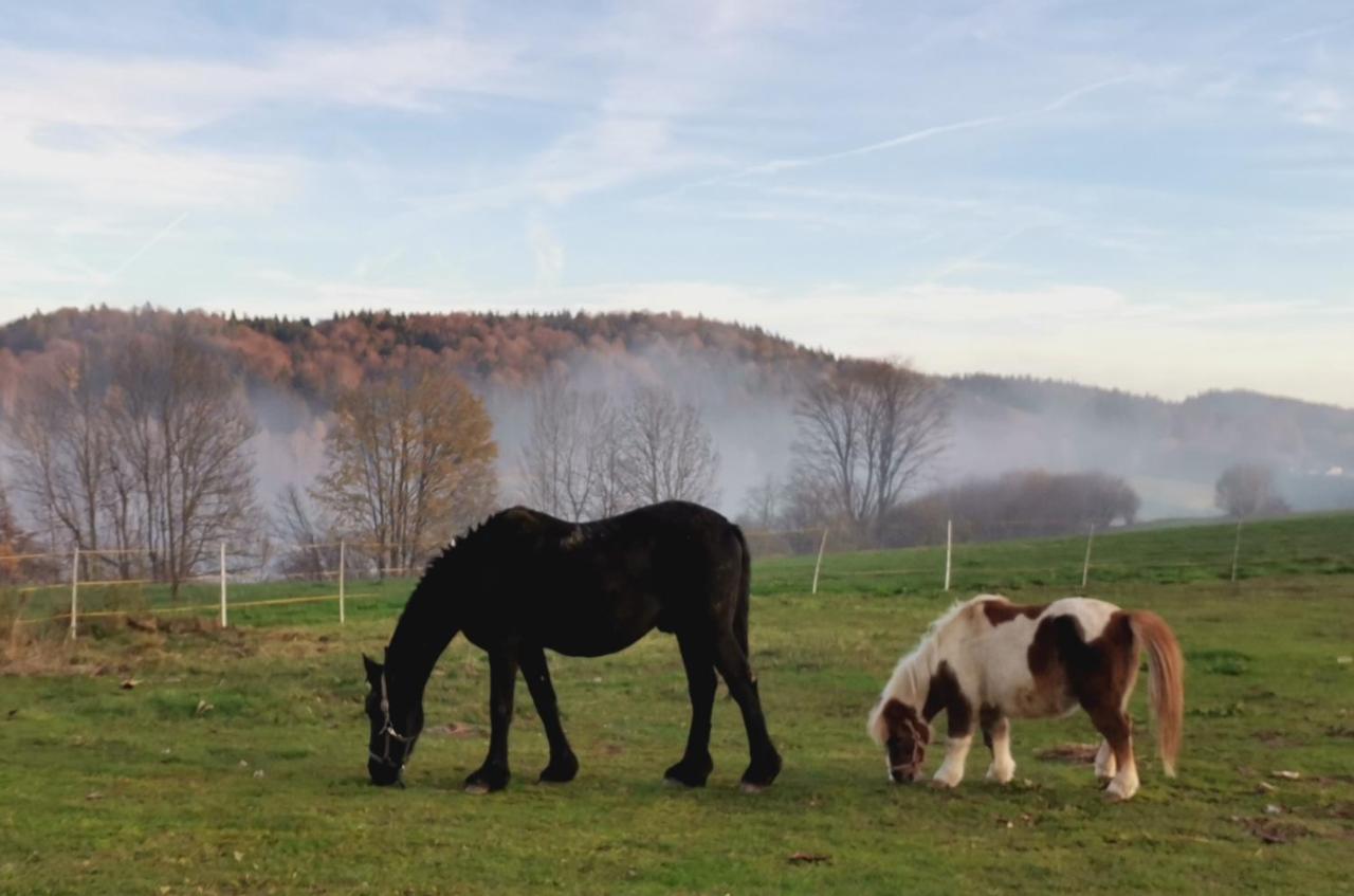 Appartamento Hartl Hof Breitenberg  Esterno foto