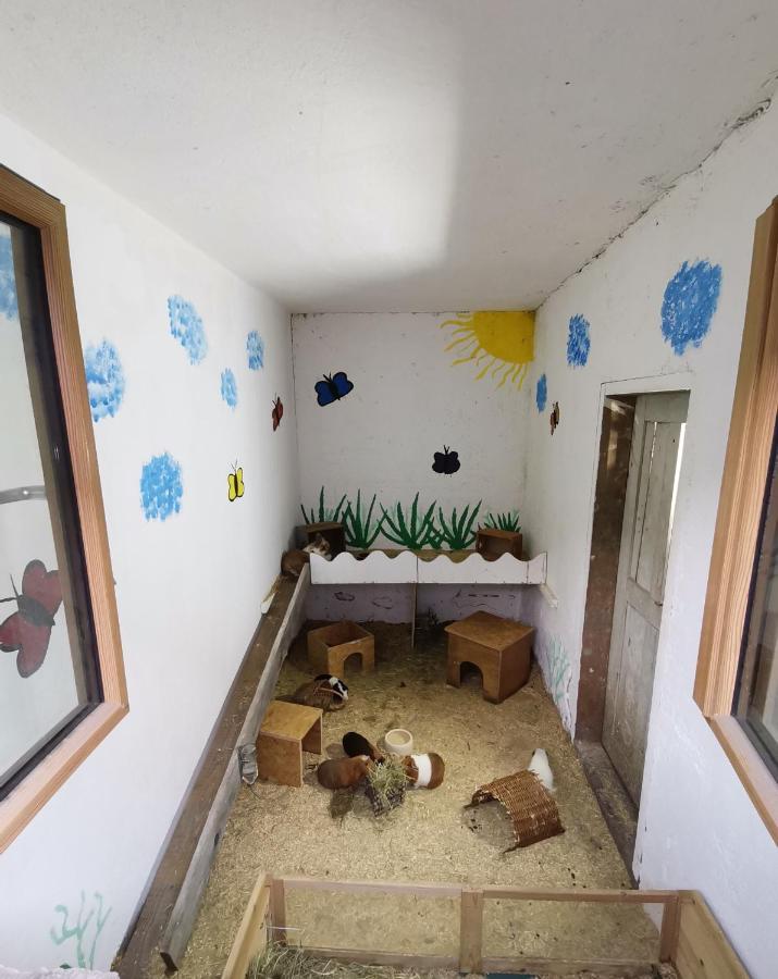 Appartamento Hartl Hof Breitenberg  Esterno foto